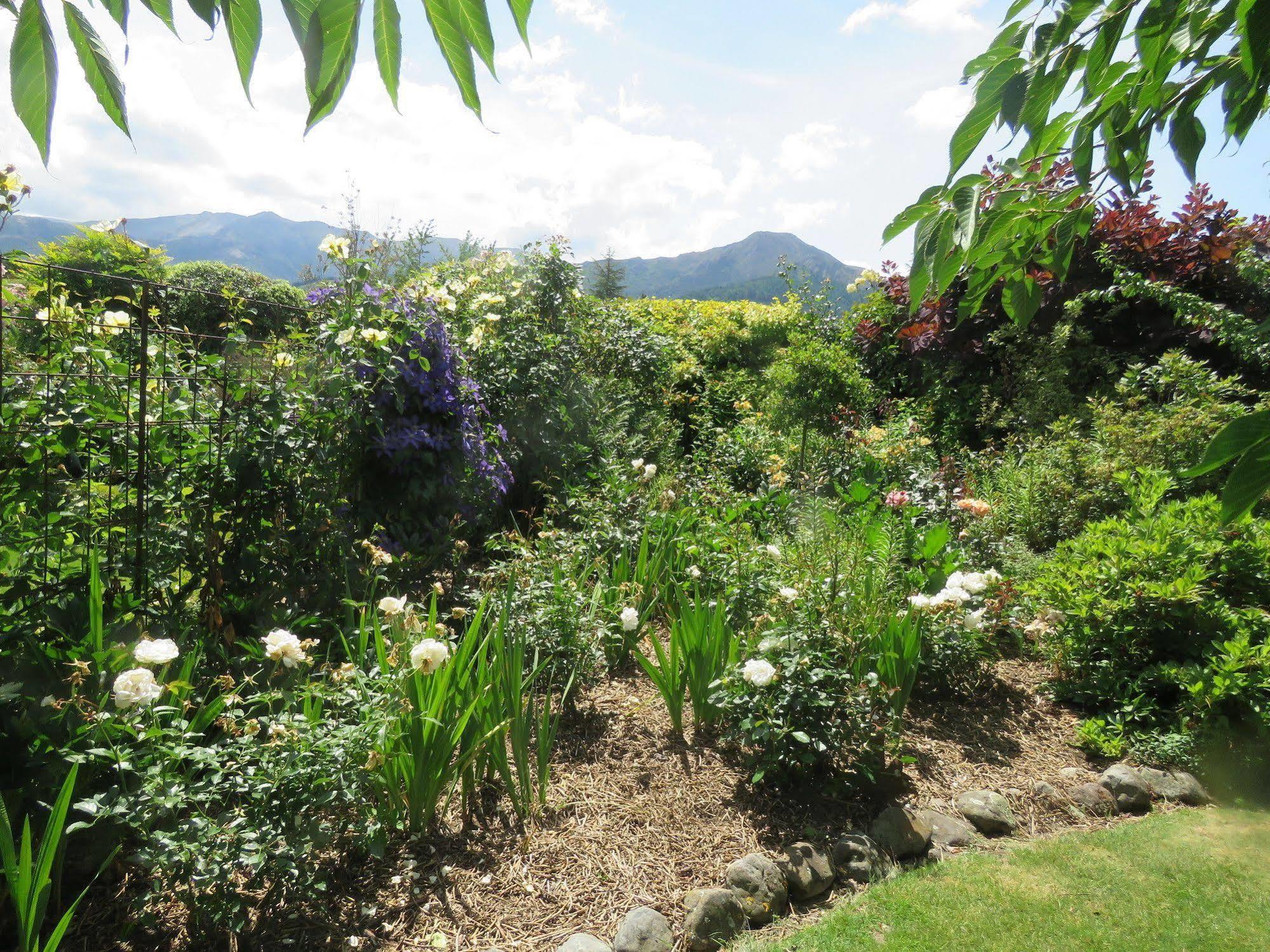 Marchmont Gardens Acomodação com café da manhã Hanmer Springs Exterior foto